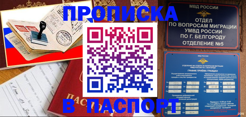 купить прописку в Кудрово